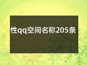 性qq空間名稱205條