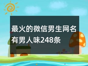 最火的微信男生網(wǎng)名有男人味248條