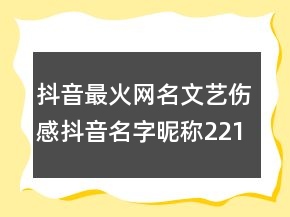 抖音最火網(wǎng)名文藝傷感抖音名字昵稱(chēng)221條