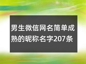 男生微信網名簡單成熟的昵稱名字207條