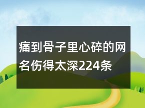 痛到骨子里心碎的網(wǎng)名傷得太深224條