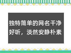 獨特簡單的網(wǎng)名干凈好聽，淡然安靜樸素的網(wǎng)名223條
