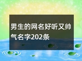 男生的網(wǎng)名好聽(tīng)又帥氣名字202條