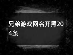 兄弟游戲網(wǎng)名開黑204條