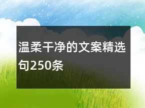 溫柔干凈的文案精選句250條
