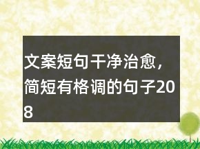文案短句干凈治愈，簡短有格調(diào)的句子208條