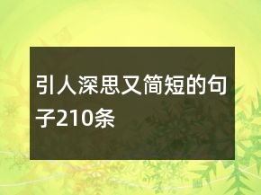 引人深思又簡短的句子210條