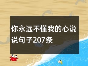你永遠(yuǎn)不懂我的心說說句子207條