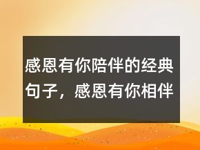 感恩有你陪伴的經(jīng)典句子，感恩有你相伴經(jīng)典句子241條