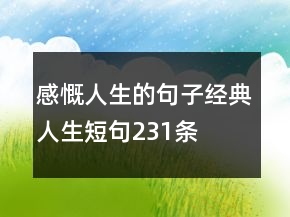感慨人生的句子經(jīng)典人生短句231條