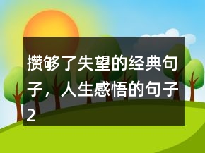 攢夠了失望的經(jīng)典句子，人生感悟的句子216條