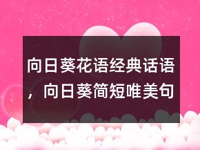 向日葵花語經(jīng)典話語，向日葵簡短唯美句子203條