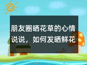 朋友圈曬花草的心情說說，如何發(fā)曬鮮花的朋友圈238條