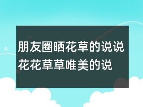 朋友圈曬花草的說(shuō)說(shuō)花花草草唯美的說(shuō)說(shuō)，欣賞花花草草的說(shuō)說(shuō)215條