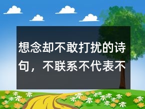 想念卻不敢打擾的詩句，不聯(lián)系不代表不想念的句子235條