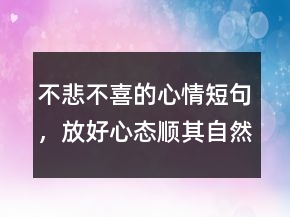 不悲不喜的心情短句，放好心態(tài)順其自然的句子241條