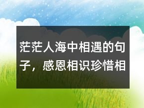 茫茫人海中相遇的句子，感恩相識珍惜相遇語句216條