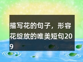描寫花的句子，形容花綻放的唯美短句209條