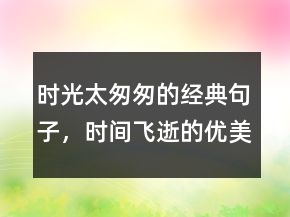 時光太匆匆的經(jīng)典句子，時間飛逝的優(yōu)美句子221條