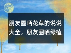 朋友圈曬花草的說(shuō)說(shuō)大全，朋友圈曬綠植的說(shuō)說(shuō)203條