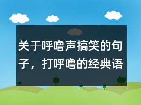 關(guān)于呼嚕聲搞笑的句子，打呼嚕的經(jīng)典語錄217條
