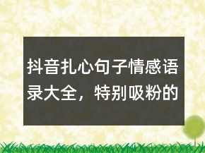 抖音扎心句子情感語(yǔ)錄大全，特別吸粉的短句238條