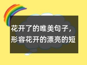 花開了的唯美句子，形容花開的漂亮的短句216條