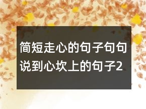 簡(jiǎn)短走心的句子句句說到心坎上的句子221條