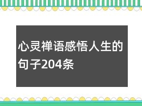 心靈禪語(yǔ)感悟人生的句子204條