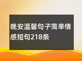 晚安溫馨句子簡單情感短句218條