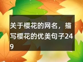 關(guān)于櫻花的網(wǎng)名，描寫櫻花的優(yōu)美句子249條