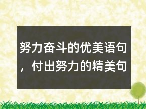 努力奮斗的優(yōu)美語(yǔ)句，付出努力的精美句子215條