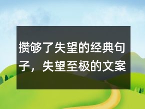 攢夠了失望的經(jīng)典句子，失望至極的文案簡(jiǎn)短244條