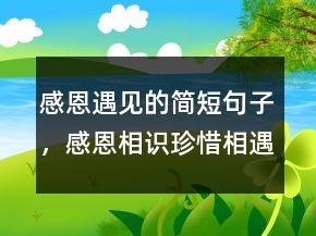 感恩遇見(jiàn)的簡(jiǎn)短句子，感恩相識(shí)珍惜相遇語(yǔ)句205條