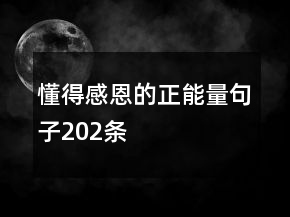 懂得感恩的正能量句子202條