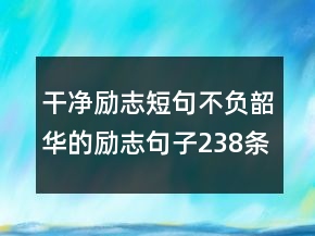 干凈勵(lì)志短句不負(fù)韶華的勵(lì)志句子238條