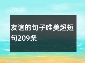 友誼的句子唯美超短句209條