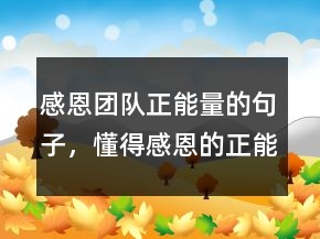 感恩團(tuán)隊(duì)正能量的句子，懂得感恩的正能量句子208條