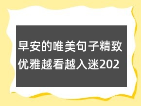 早安的唯美句子精致優(yōu)雅越看越入迷202條