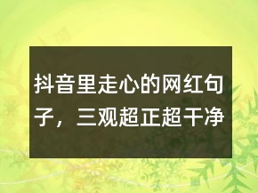 抖音里走心的網(wǎng)紅句子，三觀超正超干凈的文案201條
