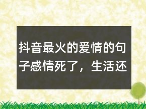 抖音最火的愛情的句子：感情死了，生活還在230條