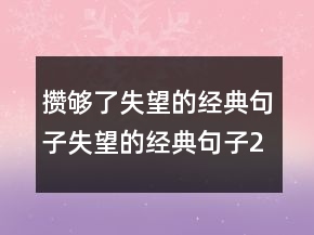 攢夠了失望的經(jīng)典句子失望的經(jīng)典句子231條