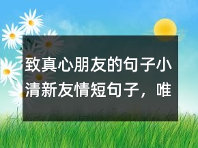 致真心朋友的句子小清新友情短句子，唯美簡(jiǎn)短的句子208條