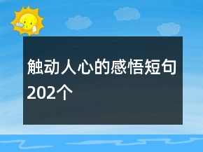觸動(dòng)人心的感悟短句202個(gè)