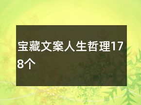 寶藏文案人生哲理178個(gè)