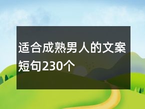 適合成熟男人的文案短句230個(gè)