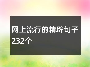 網(wǎng)上流行的精辟句子232個(gè)