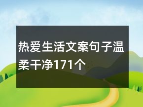 熱愛生活文案句子溫柔干凈171個
