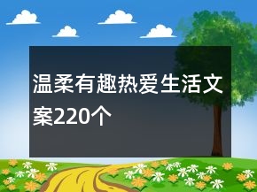 溫柔有趣熱愛生活文案220個(gè)