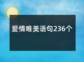 愛情唯美語句236個(gè)
